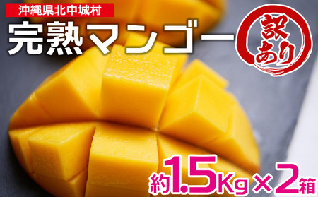 訳あり品！沖縄県北中城村　完熟マンゴー約1.5Kg×2箱沖縄 果物 訳あり フルーツ くだもの 数量限定 アップルマンゴー アーウィンマンゴー 芳醇 トロピカルフルーツ