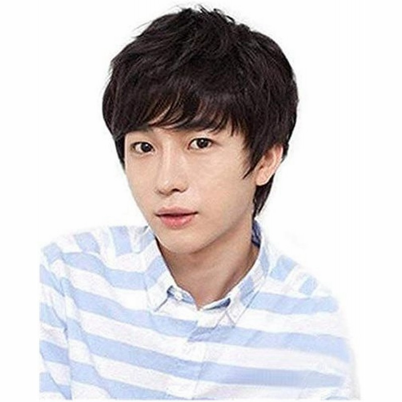 Remeehi人毛ウィッグ ショートウィッグ メンズ用 ストレート フルウィッグ ファッションウィッグ 男子用 自然 手植え 抗菌ネット 自然黒 通販 Lineポイント最大0 5 Get Lineショッピング