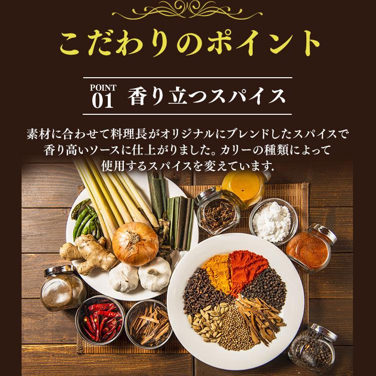 プチカレー・ハヤシビーフ 新宿中村屋 (D) 新生活