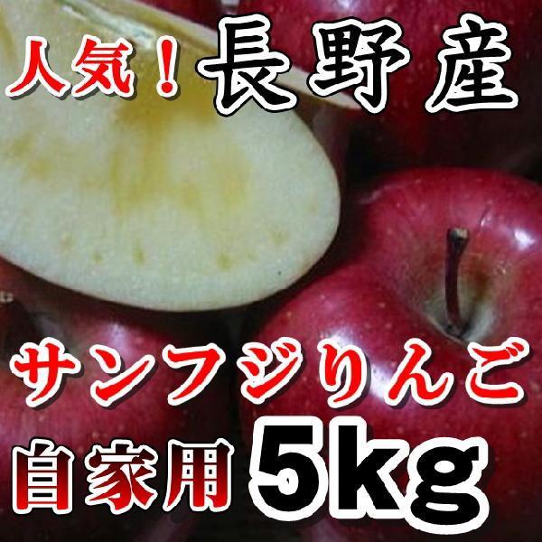 サンふじりんご5kgご家庭用　信州産　長野サンふじりんご