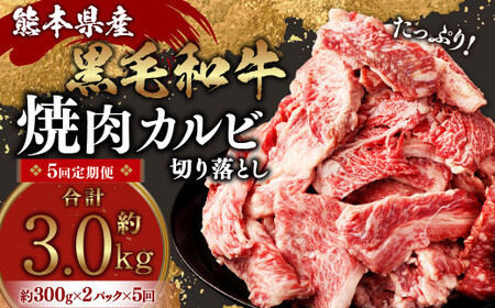 熊本県産 黒毛和牛 焼肉 カルビ 切り落とし 600g×5回 合計約3kg 牛肉 肉