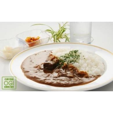 ふるさと納税 佐賀県 小城市 佐賀和牛カレー3パックセット 焼肉屋 レトルトカレー