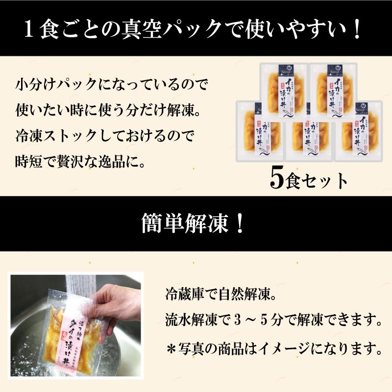 海鮮丼 セット 海鮮丼の具 5袋詰合せ 国産 ギフト イカの醤油漬け丼 イカ 烏賊 高知 漬け魚 海鮮茶漬け お茶漬け 送料無料 贈答 送料無料 お祝い お歳暮