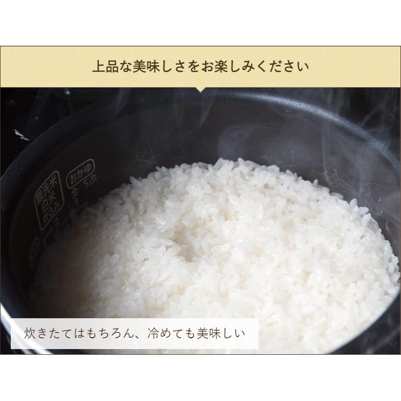 新潟産コシヒカリ「大峰米」精米2kg（2kg×1袋） 株式会社アグリ加治川 送料無料