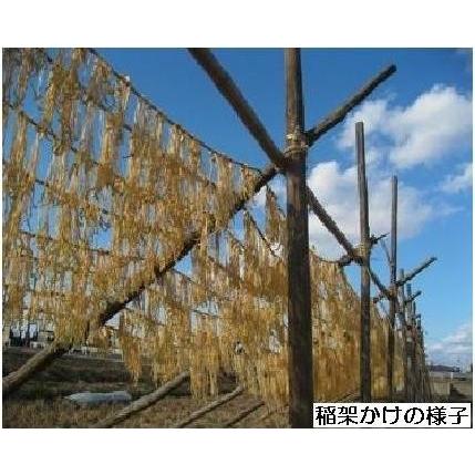 稲沢市名産よりぼし漬　国産の椎茸、昆布、なす、しその葉、ゴマをあわせて隠し味に山椒や唐辛子を入れた醤油漬け　はりはり漬け　100g×4袋 贈答用箱入