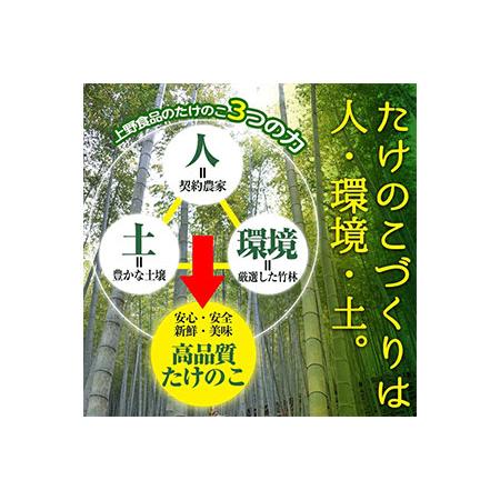 ふるさと納税 akune-2-41 ＜先行予約受付中！2024年3月から順次発送予定＞数量限定！朝堀り青果たけのこ(約1.5kg)国産 新鮮 タケノコ 竹の子.. 鹿児島県阿久根市