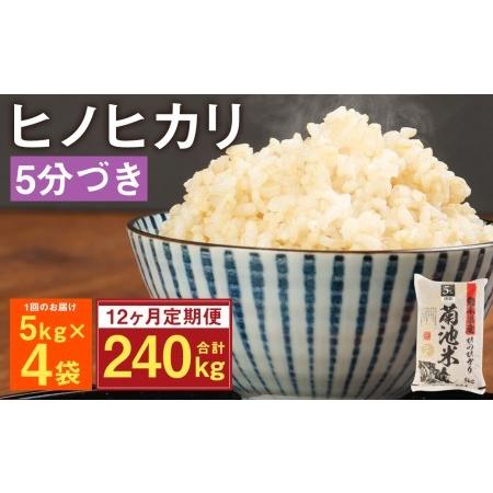 ふるさと納税 熊本県菊池産 ヒノヒカリ 5kg×4袋×12回 計240kg 5分づき米 お米 分づき米  熊本県菊池市