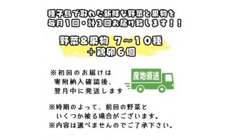 ３か月定期便・種子島の新鮮 野菜と果物７～１０品と鶏卵セット