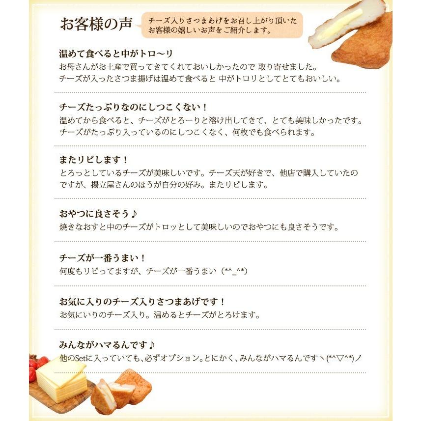 揚立屋 さつま揚げ ギフト 送料無料 ネット限定  鹿児島