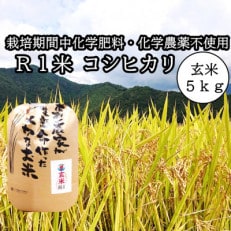 令和5年産R1米コシヒカリ5kg(玄米)