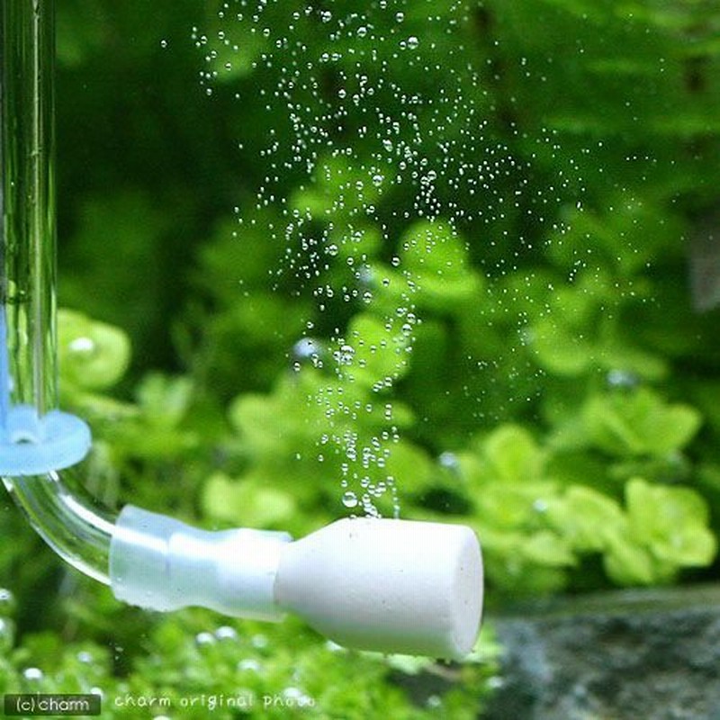 殿堂 水草 足し水くん テナーボトル ＲＯ水 ２０リットル 送料無料 航空便不可 沖縄不可