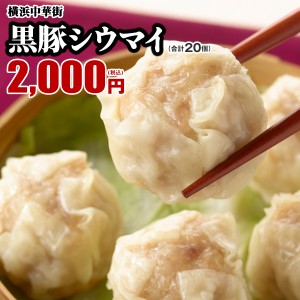 黒豚シウマイ　20個（10個入×2箱） 食べた方をとりこにする自慢の逸品！