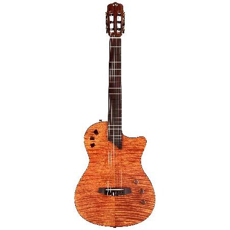 Cordoba Music Group Stage String Semi-Hollow-Body Electric Guitar, Right, Natural Amber 06012