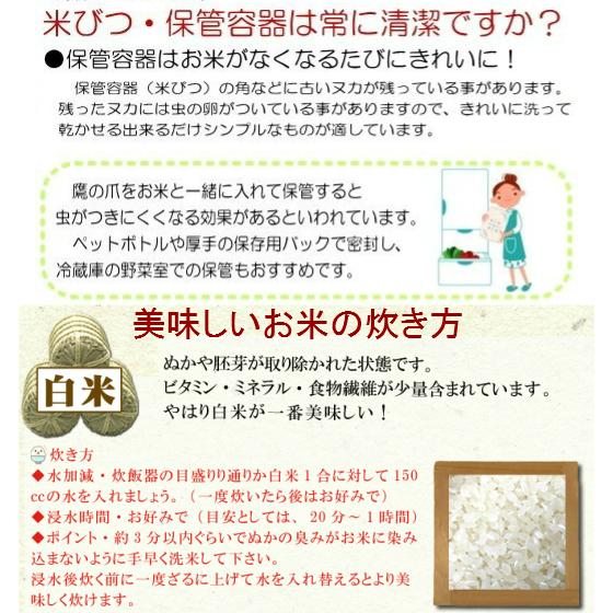 ひろしまの米　い〜ね！ヒノヒカリ5ｋｇ送料無料