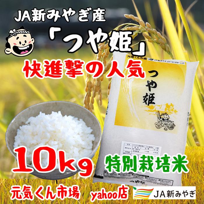 令和5年産　通販　つや姫　宮城県産 １０Kg　特別栽培米（減農薬・減化学肥料）　つやひめ　送料無料（一部地域を除く）