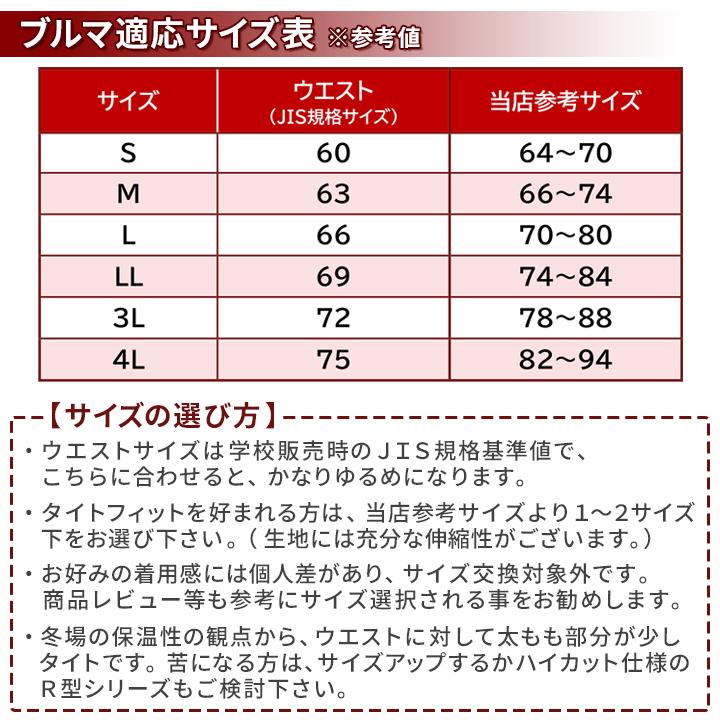 ブルマ 体操服 PHYSALIS S2型 プロトハイカット 2ライン S〜3L ガールズ 女の子 一般 スポーツ用品 メール便発送