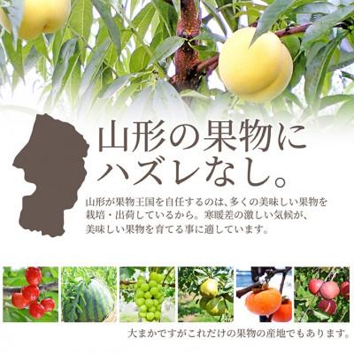 ふるさと納税 山形県 山形県産 白桃  黄桃 3kg入り