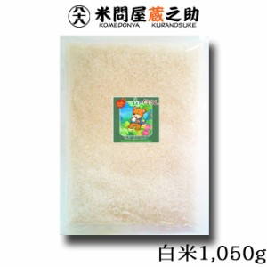 ポイント消化 お試し お米 熊本県産 森のくまさん 4年産 白米 1,050g 送料無料 （メール便）