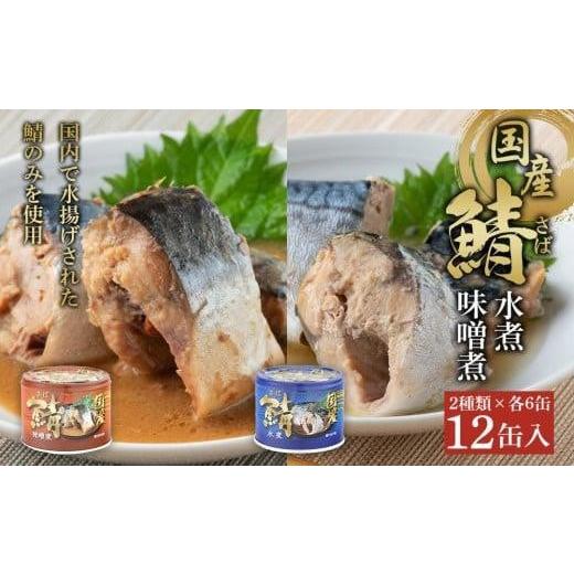 ふるさと納税 千葉県 銚子市 国産鯖水煮・味噌煮12缶セット