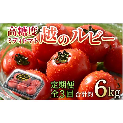 ふるさと納税 福井県 あわら市 《定期便3回》高糖度 ミディトマト 越のルビー 約2kg 10パック（計約6kg）／ 福井県産 ブランドトマト 中玉 農家直…