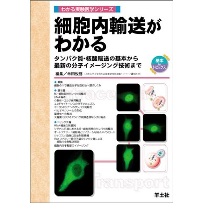 細胞内輸送がわかる?タンパク質・核酸輸送の基本から最新の分子イメージング技術まで (わかる実験医学シリーズ?基本トピックス)