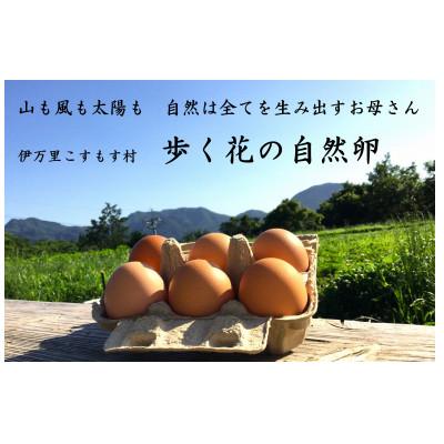 ふるさと納税 伊万里市 歩く花の自然卵　6個入り×2箱