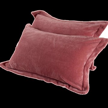 珊瑚絨枕套一對裝冬季家用牛奶水晶絨枕套皮單雙人加厚枕芯內膽套