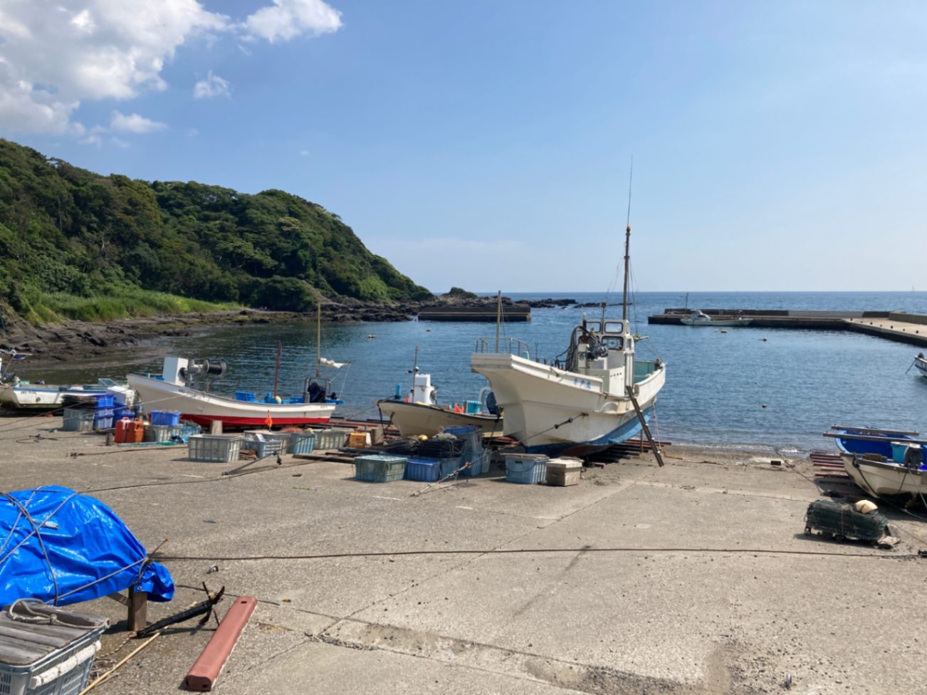 湘南・釜揚しらす（漁師かねしち丸）150g