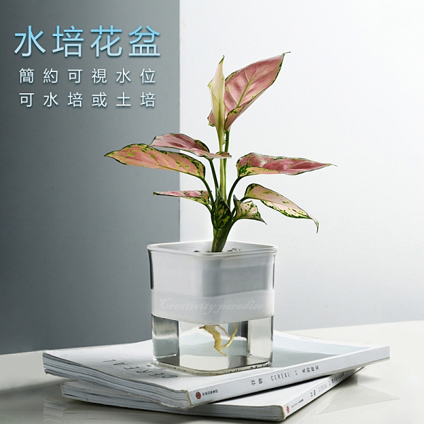 水培雙層花盆 透明可視花卉養殖盆自動吸水盆栽水耕栽培盆免澆水 Yahoo奇摩超級商城 Line購物