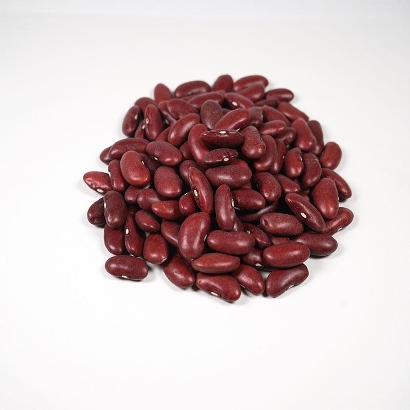 無添加赤いんげん豆 レッドキドニービーンズ　１ｋｇ　有機JAS（無農薬・無添加）　アメリカ産