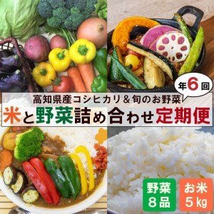 ふるさと納税 定期便 6回 野菜 8品 米 コシヒカリ 5kg 新鮮 朝採れ野菜 白米 ごはん お米 セット 詰め合わせ 産地直送 高知県 須崎市 高知県須崎市