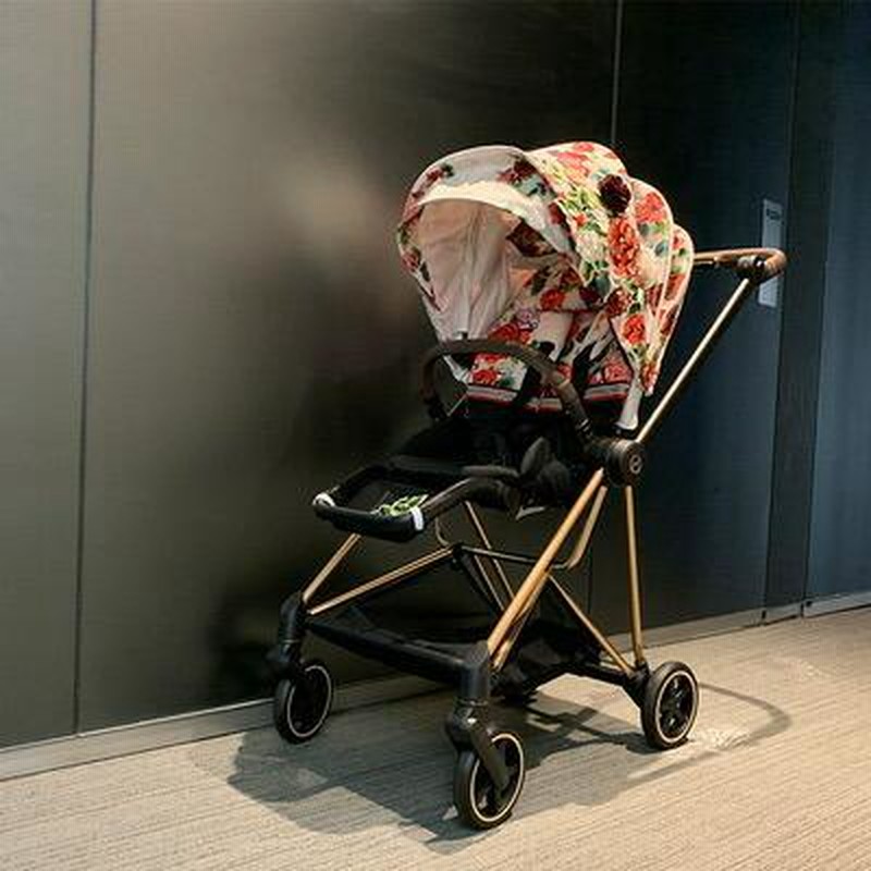 cybex サイベックス ミオス スプリングブロッサム(値下げしました) Cybex Mios Seat Spring Blossom Light サイベックス ミオス