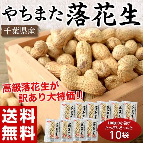 千葉県八街産 『殻付き落花生』100g×10袋 ※常温 送料無料