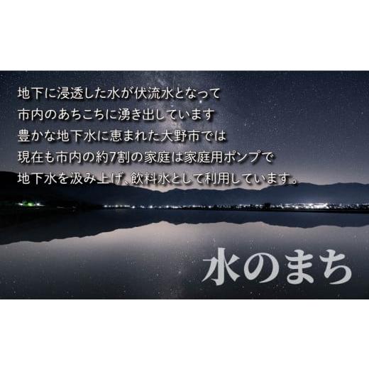 ふるさと納税 福井県 大野市 こしひかり（福井県大野市産）エコファーマー米（白米）30kg（5kg×6袋）