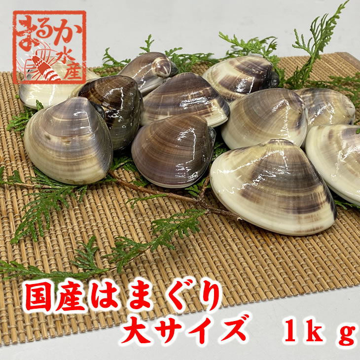 4●国産 活はまぐり（大）６ｋｇ●鮮度抜群！同梱無制限！！