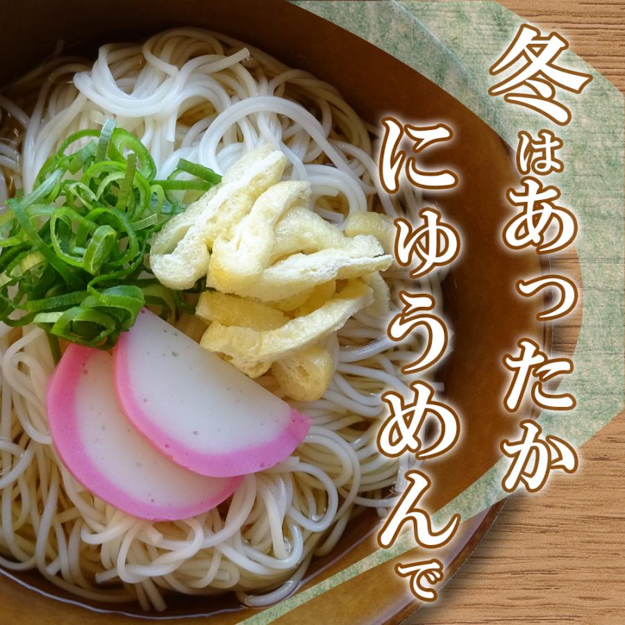 島原手延べそうめん 500ｇ（50g 10束） 長崎県 植木製麺工場 島原そうめん にゅうめん 島原 手延べ素麺 送料無料