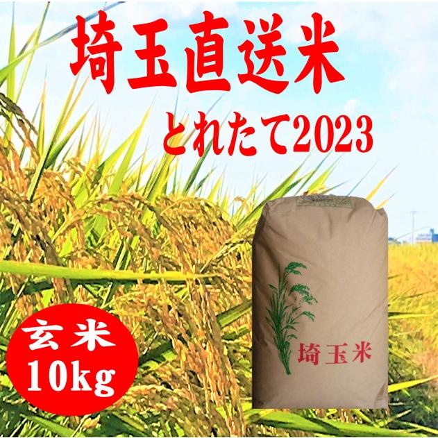 NEW　玄米10kg  送料無料　 とれたて　産地直送米