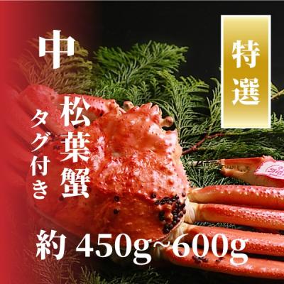 ふるさと納税 鳥取市 松葉ガニ 中サイズ 約450g〜600g タグ付(茹で)