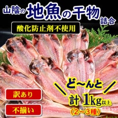 不揃いにつき訳あり　山陰の地魚の干物詰合せ　2～3種　1kg以上