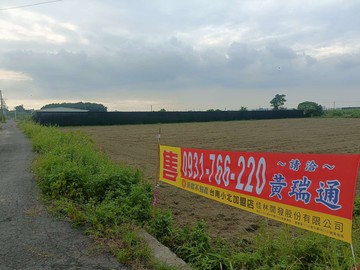 新市潭頂、山上/新化間近南科方正美農地｜台南市新市區東大社段
