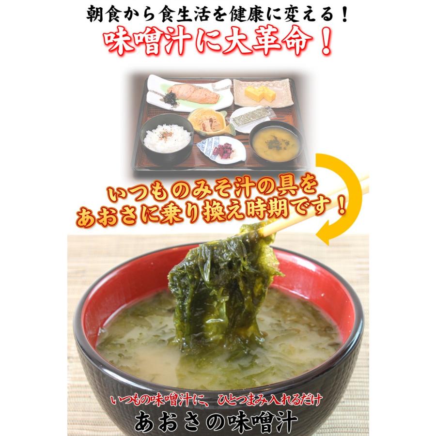 鹿児島県産あおさ海苔50g　送料無料 のり 海苔 アオサ ヒトエグサ ひとえぐさ 味噌汁 メール便でお届け がってん寿司