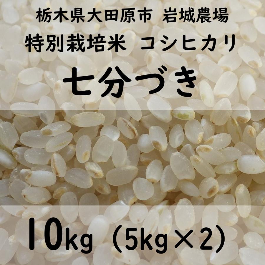 特別栽培米コシヒカリ 2023年産（5kg×2）