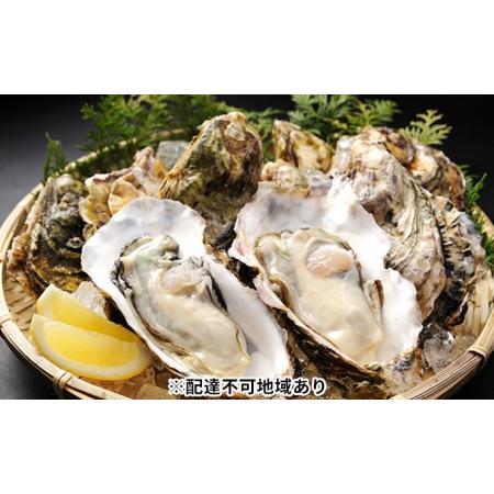 ふるさと納税 秀栄水産 瀬戸内の 牡蠣 （殻つき 大粒15粒） 海の幸 海のミルク 海鮮 貝 岡山県 瀬戸内市 虫明湾 岡山県瀬戸内市