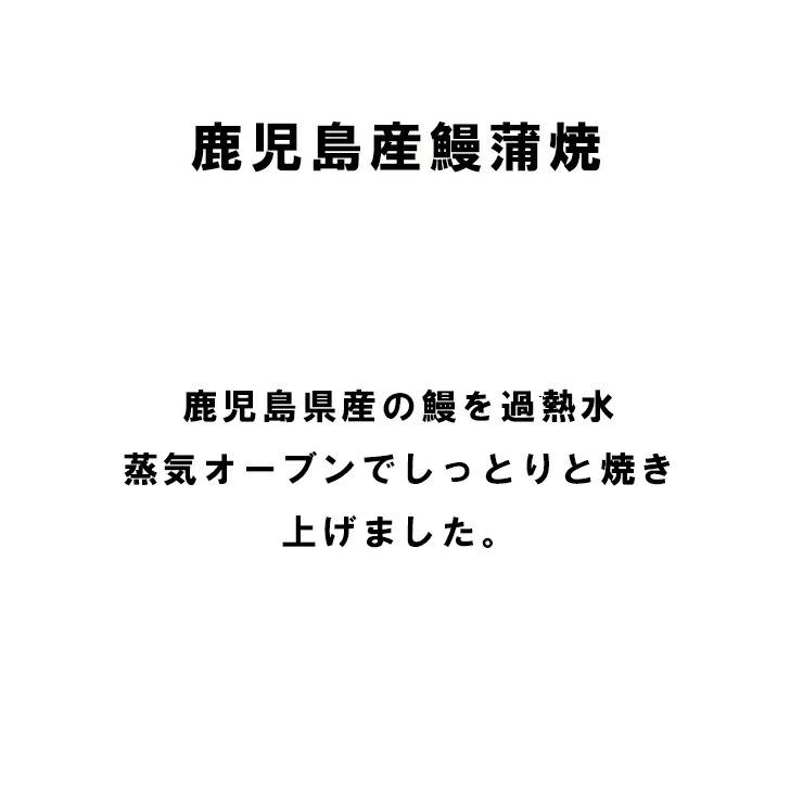 お歳暮2023 鹿児島産 鰻蒲焼２尾セット32-420304 お取り寄せグルメ 海産 ギフト ご贈答 自宅用 プレゼント 人気 ランキング