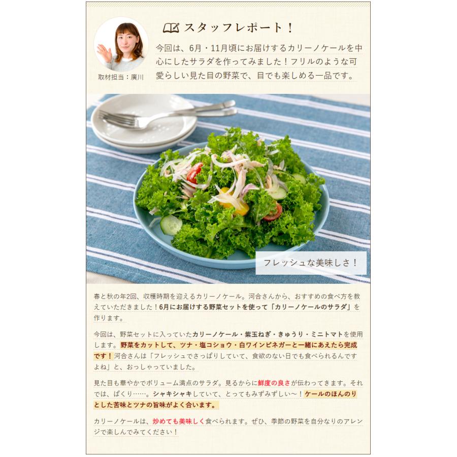 季節のおまかせ野菜セット 5種類以上 河合農場 送料無料