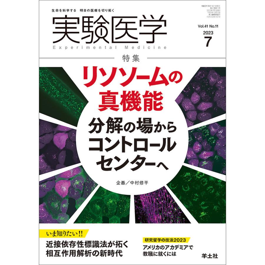 実験医学 Vol.41No.11