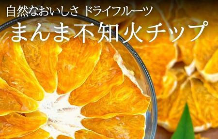 ドライフルーツ しらぬいチップ 200g 20g × 10袋 和歌山県産 果物使用 自社製造 