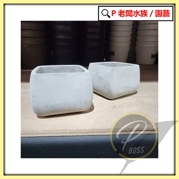 P老闆園藝~水泥盆 花盆 盆栽 植栽 多肉植物 室內培栽 花器 質感花器 水泥盆 水泥盆 盆