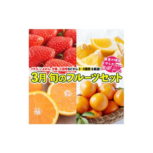 ふるさと納税 茨城県 つくばみらい市 旬のフルーツセット 3月号  田舎の頑固おやじが厳選！