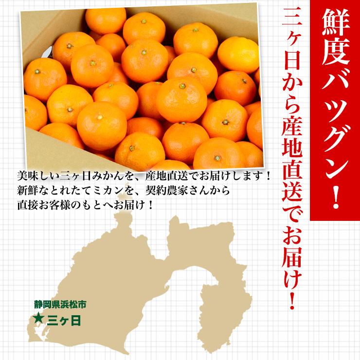  三ヶ日 早生 みかん 10kg どうまいらぁ！ みかん 送料無料 S 〜 3L サイズ不揃い 三ヶ日みかん 訳ありみかん 産地直送